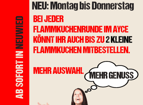 Flyer Doppeldecker